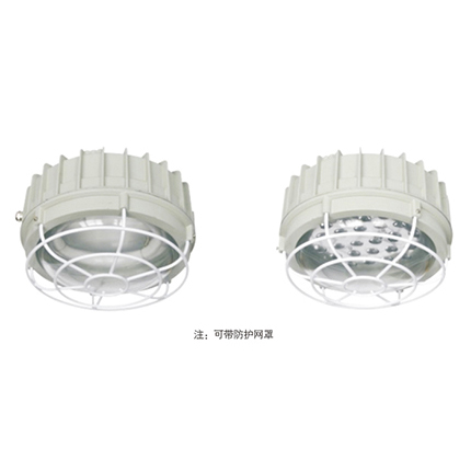 BAD83-M系列防爆灯（免维护节能无极灯）(IIC、DIP)